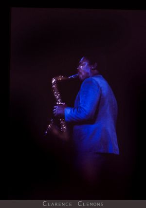 Clarence Clemons springsteen celebs la photographers .jpg